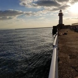 太刀魚も終盤戦かな…