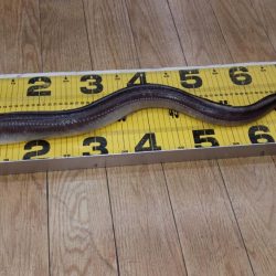 こんなん初めて！でも…