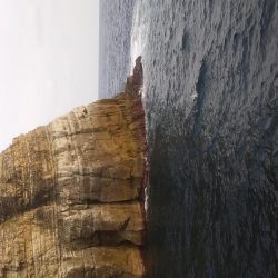 美良島、ヒラマサ聖地で爆釣狙う