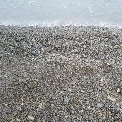 秋イカも終盤？