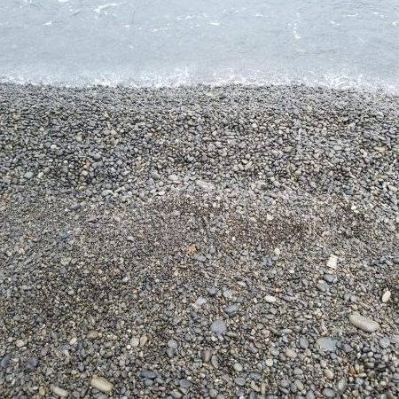 秋イカも終盤？