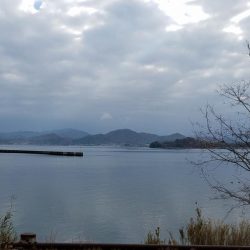 カレイのシーズン到来⁉