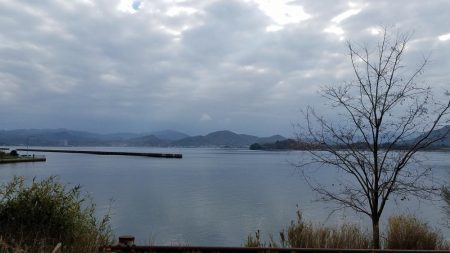 カレイのシーズン到来⁉