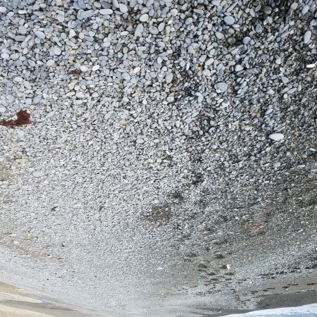 奥さんが主人公…