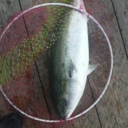 始め良ければ終わり良し