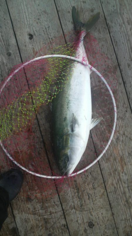 始め良ければ終わり良し