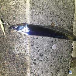 仕事帰りのご褒美