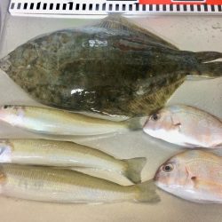 キス釣りでタコ&カレイ