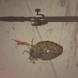 鞆浦の新港にて