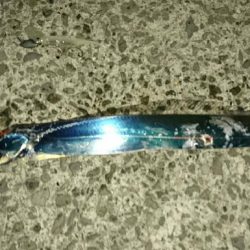 久しぶりのワインド