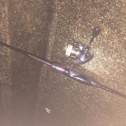 メバルの時期がやって来た？