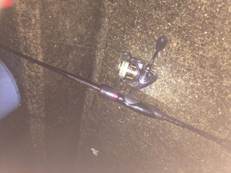 メバルの時期がやって来た？