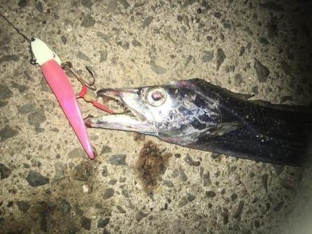 マナティーをサイズダウンしてから連続ヒット!!