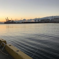 時合いが短過ぎ(T-T)