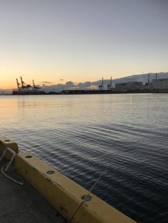 時合いが短過ぎ(T-T)