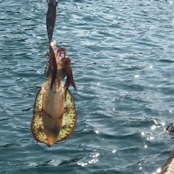 強風回避コースでランガン