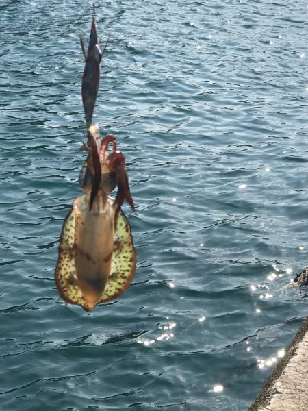 強風回避コースでランガン