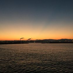 久々の青岸 太刀魚の時合なし