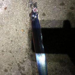 ナブラ発生からのハマチ