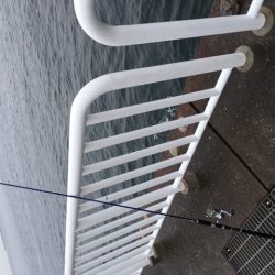 太刀魚、まだまだ大丈夫