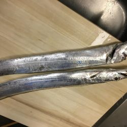 太刀魚 ワインド