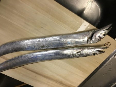 太刀魚 ワインド