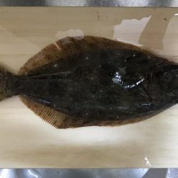 凄い風でした。