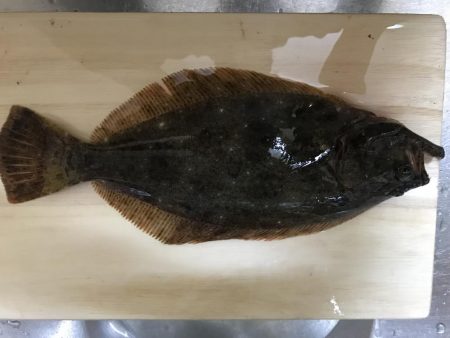 凄い風でした。