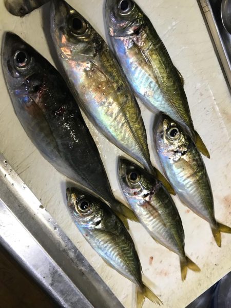 デイアジンゴォ