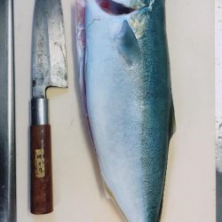 ショアジギング