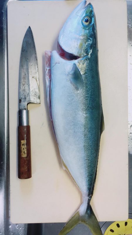 ショアジギング