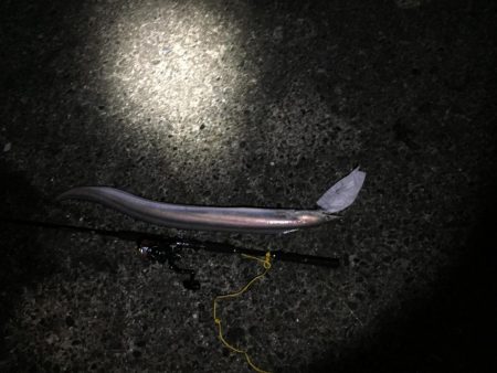 夜間の打ち込みにて