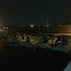 シロギス狙いが。。