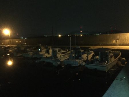 シロギス狙いが。。