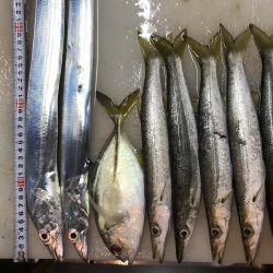 仕事の休憩時間に