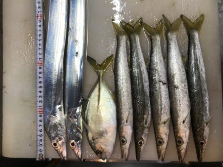 仕事の休憩時間に