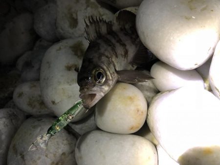 やっぱメバちゃん