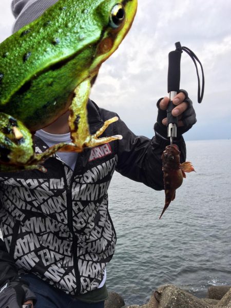 ロックフィッシュ！！！！