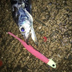 雨にも負けず風にも負けず！