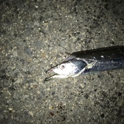 またもや、最初だけでした。