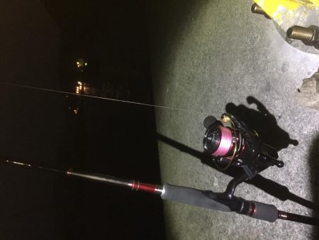 ひたすらエギング