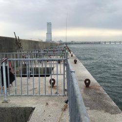 マルハゲ終わりかなぁ、、、