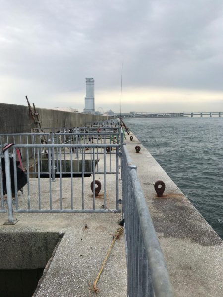 マルハゲ終わりかなぁ、、、