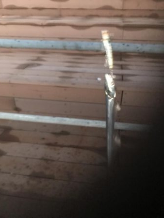 舞洲タチウオ渋い〜