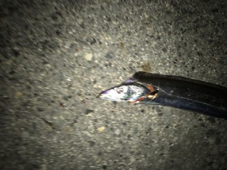 ツワモノのおじさん達