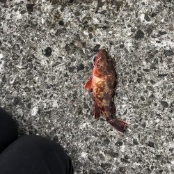 ちょこっと1時間ほど