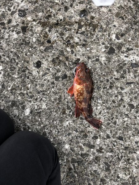 ちょこっと1時間ほど