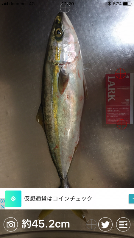 極寒ショアジギ