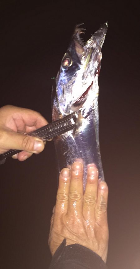 昨日に続いてタチウオ釣行