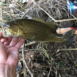 もう冬のパターン！？